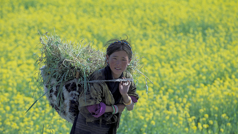 woman farmer in flower field